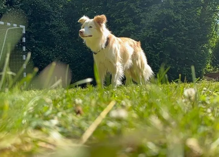 Jaga * Sklářská Poruba